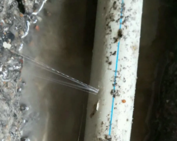 贵定卫生间测漏水多少钱