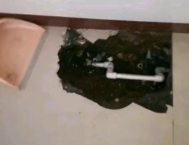 贵定卫生间测漏水多少钱
